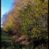 Lorraine-0527