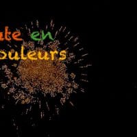 Voeux 2018