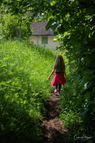 Promenons-nous dans les bois 
Pendant que le loup n'y est pas...

Retour sur notre promenade dominicale en famille et le projet "Un lieu, 10 photos" qui en a découlé

#couleurs_photographie #fujifilm #fujifilm_switzerland #mauborget #nordvaudois